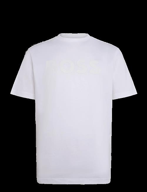 BOSS | Ts_Structure Logo | M