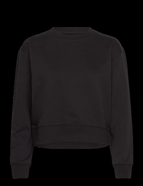 Organic Basics | Weekend Crop Crewneck | M