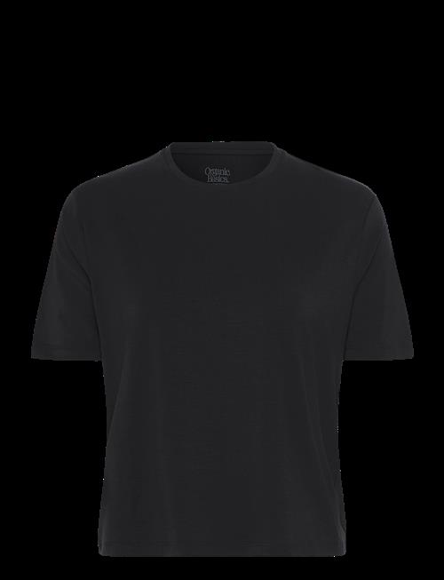 Organic Basics | Soft Touch Boxy Tee | M