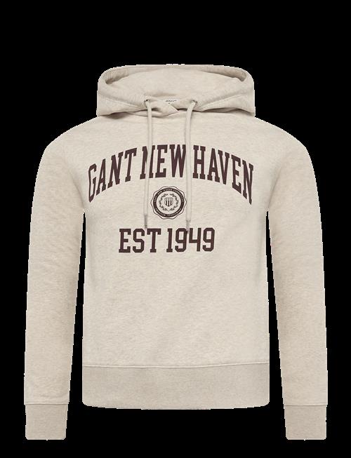 Gant | Reg Graphic Sweat Hoodie | L