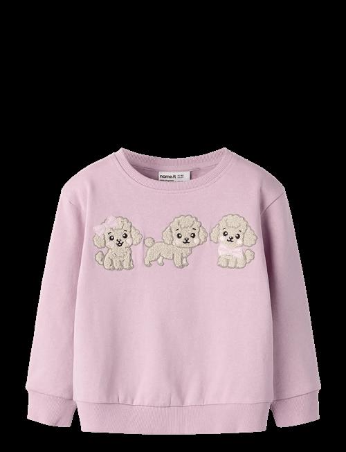 name it | Nmfdyveke Ls Nreg Swe Bru | 104