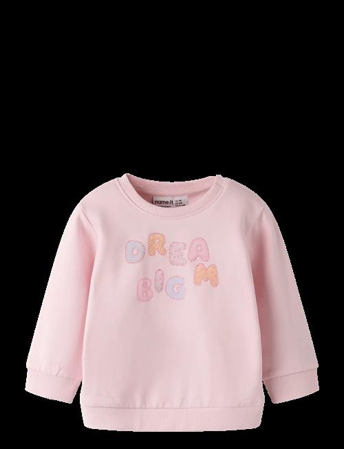 name it | Nbfdelia Ls Swe Bru | 62