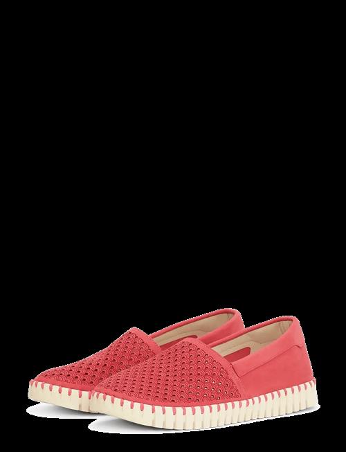 Ilse Jacobsen | Tulip3483 | 36