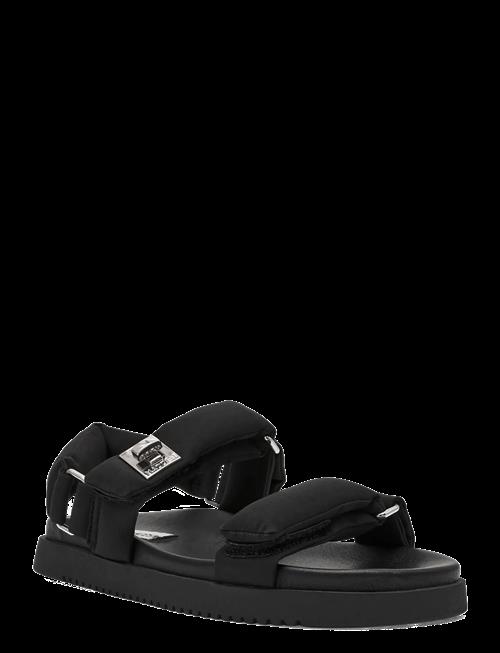 Steve Madden | Monat | 36