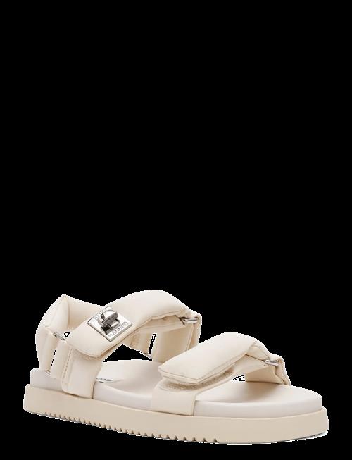 Steve Madden | Monat | 37
