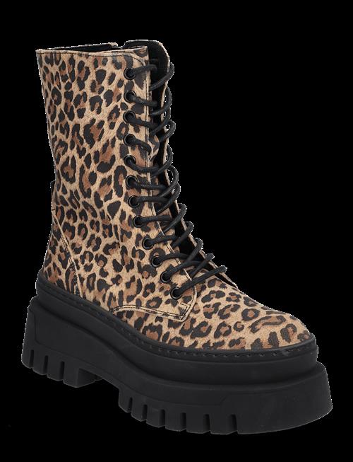 Steve Madden | Coast | 41