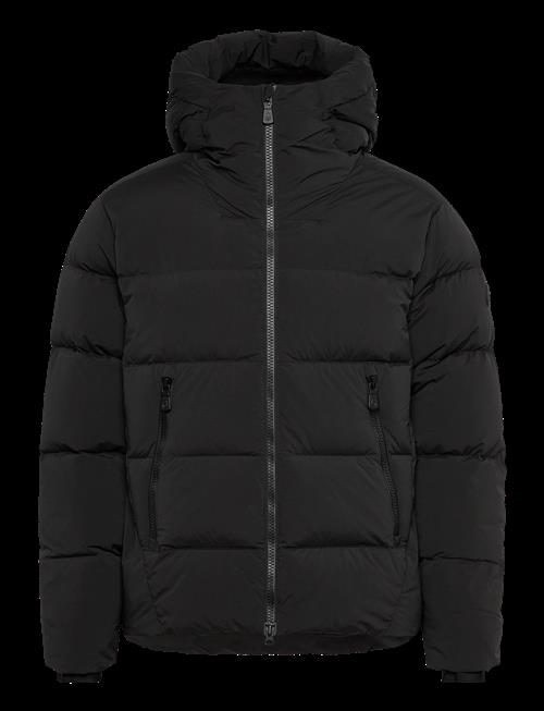 Sail Racing | Cloud Down Stretch Hood | M