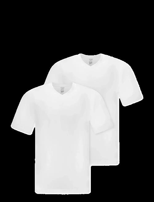 Schiesser | Short-Sleeve Jersey T-Shirt, 2-Pack, V-Neck, Black - American T-Shirt | S