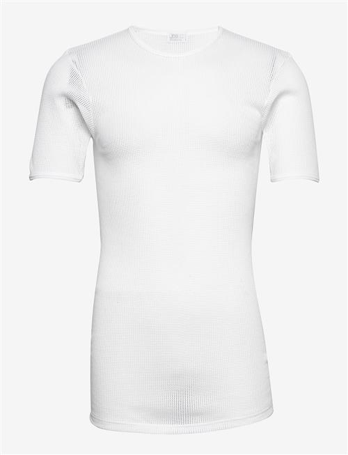 JBS | Jbs T-Shirt Mesh | XL