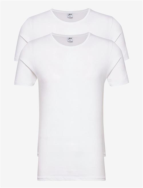JBS | Jbs 2-Pack T-Shirt O-Neck Gots | XXL