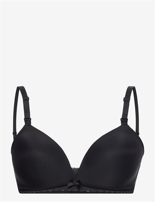 Dorina | Light Padded May Soft Nursing Bra | C x 80
