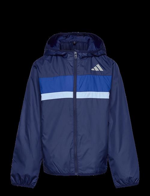 adidas Sportswear | J Tiberio Wb | 164