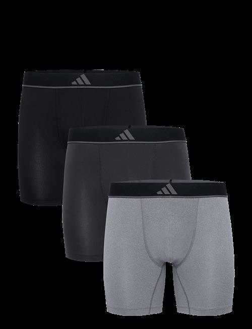 adidas Underwear | Shorts | XL