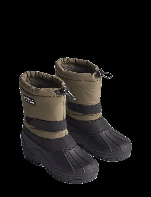 Molo | Driven | 30