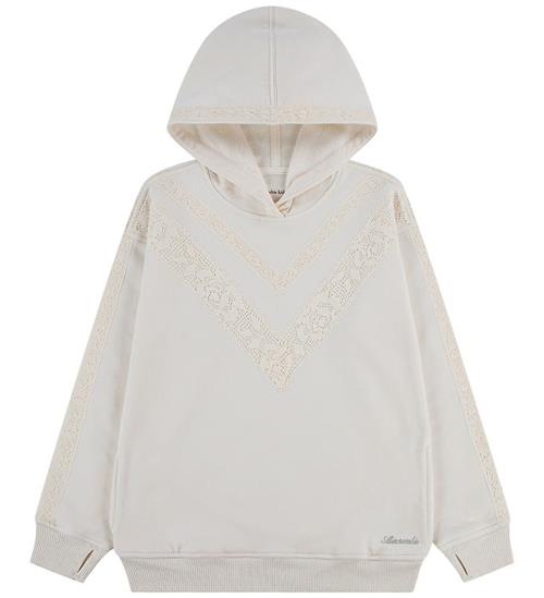 Abercrombie & Fitch Hættetrøje - Jet Stream