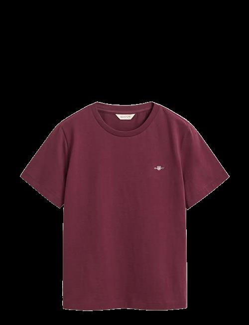 Gant | Reg Shield Ss T-Shirt | XXL