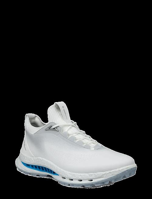 ECCO | M Golf Biom C5 | 43