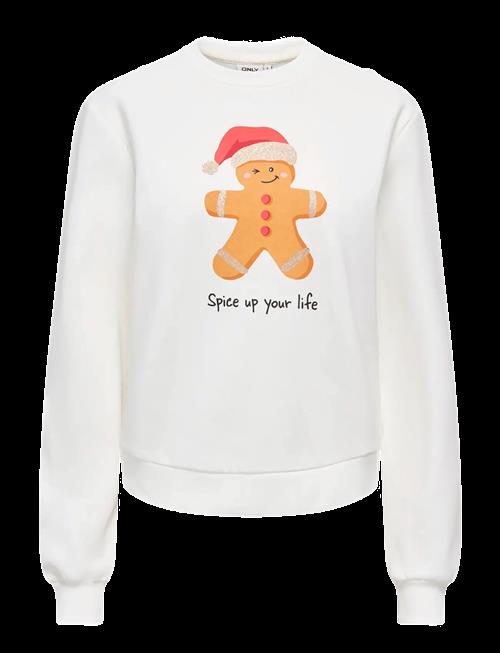 ONLY | Onlyda Xmas L/S O-Neck Box Swt | XXXL