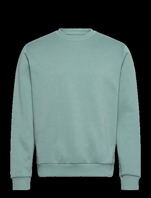 Jack & Jones | Jjebradley Sweat Crew Noos | XL