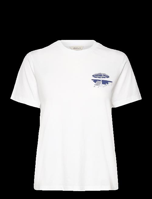 Gant | Reg Graphic Ss T-Shirt | XS