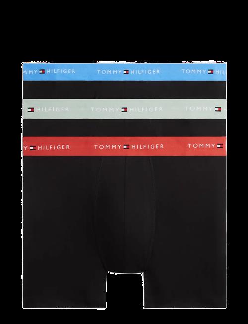 Tommy Hilfiger | 3P Boxer Brief Wb | XL