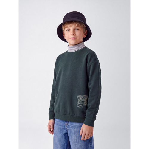 NAME IT Sweatshirt Ofranz Pine Grove