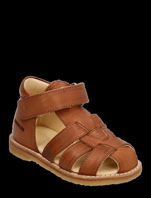 ANGULUS | Sandals - Flat  - Closed Toe | 25