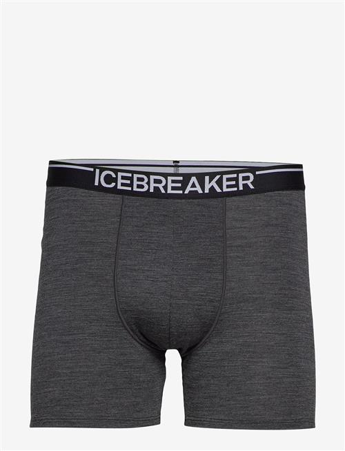 Icebreaker | Men Merino 150 Anatomica Boxers | XXL
