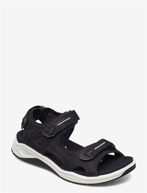 ECCO | X-Trinsic K | 39