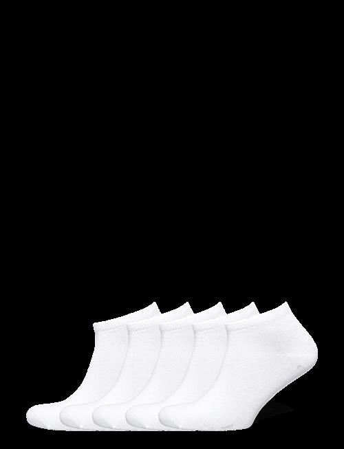 Decoy | Decoy Sneaker Sock 5-Pk | 37-41