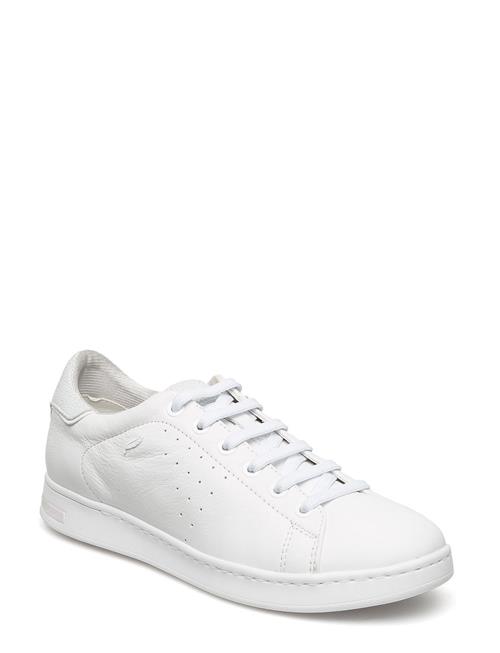 GEOX | D Jaysen A | 41