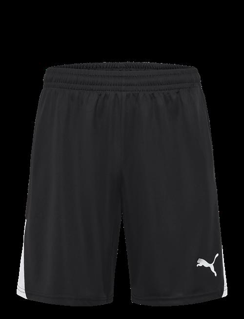PUMA | Teamliga26 Shorts | XL