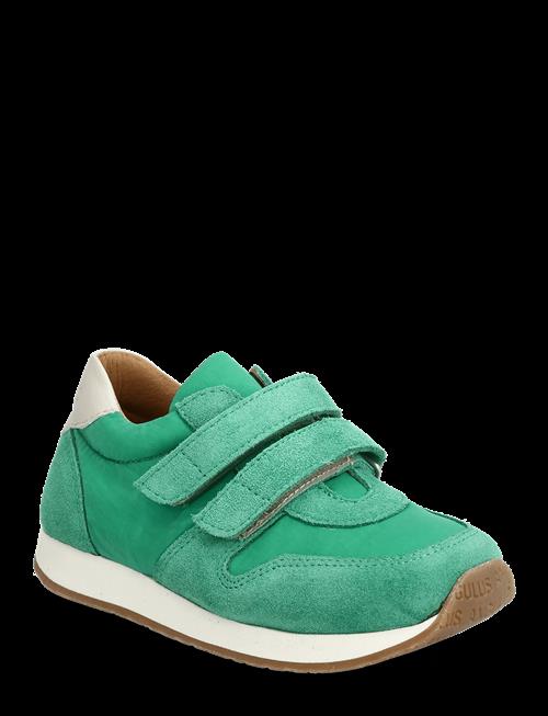 ANGULUS | Shoes - Flat - With Velcro | 25
