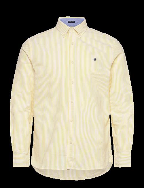Superdry | Preppy Oxford L/S Shirt | XXXL