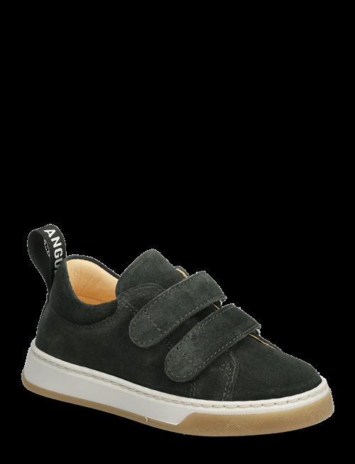 Se ANGULUS | Shoes - Flat - With Velcro | 30 hos Booztlet