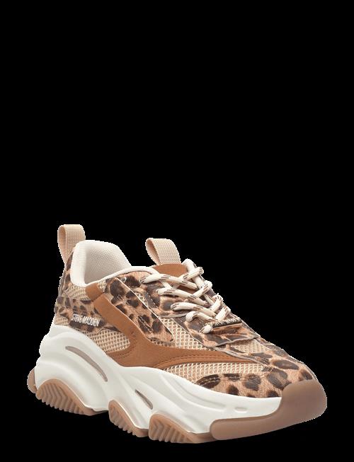 Steve Madden | Possession-E | 38