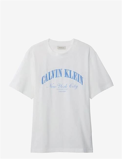 Calvin Klein Jeans | 20S March Graphic Seasonal Fashi | XXL
