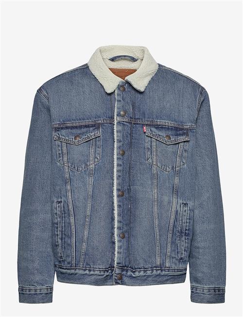Levi's® | Type 3 Sherpa Trucker Fable Sh | M