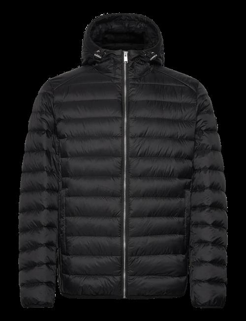 BOSS | H-Dimeo | 56
