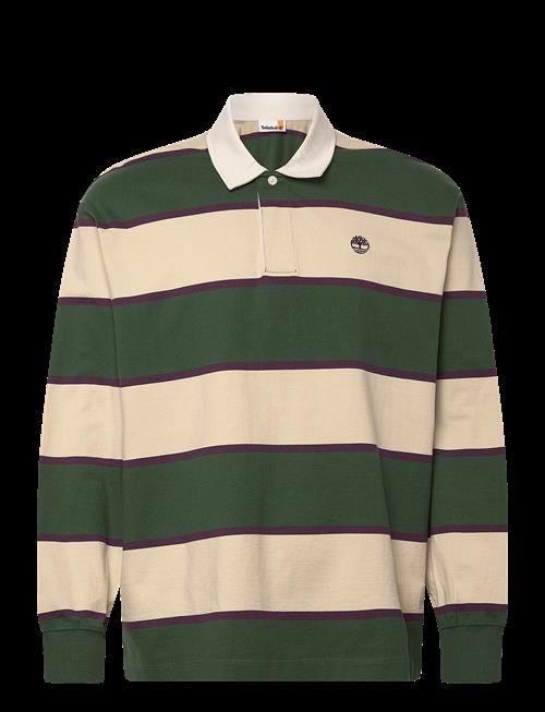 Timberland | Rugby Polo Shirt Pineneedle / Putty | XL