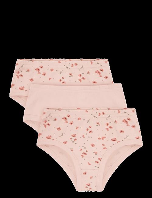 CeLaVi | Briefs 3-Pack | 110