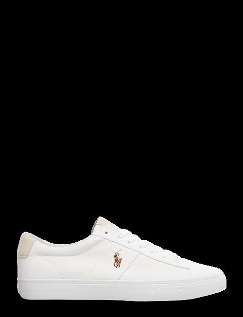 Polo Ralph Lauren | Sayer Canvas Sneaker | 44