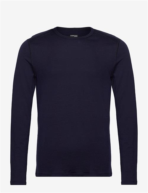 Icebreaker | M 260 Tech Ls Crewe | XL