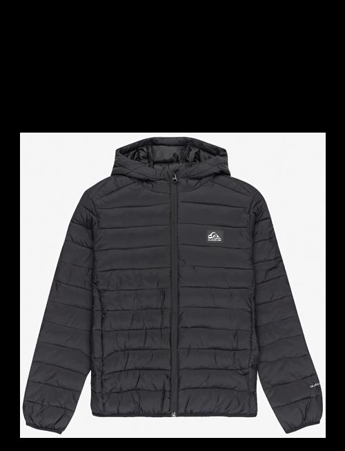Quiksilver | Scaly Youth | 16