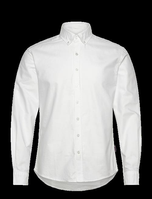 Sebago | Oxford Button Down Shirt | XXL