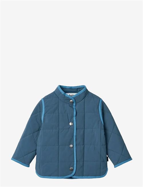 Molo | Harrie | 98