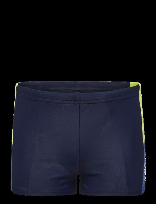 Speedo | Dive Aquashort | 116