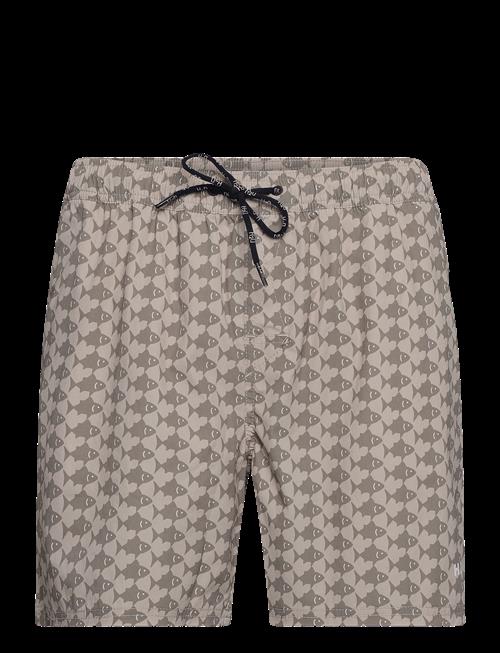 H2O | Nemo Swim Shorts | M
