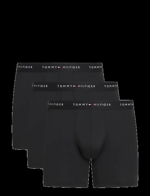 Tommy Hilfiger | 3P Boxer Brief Dtm | L