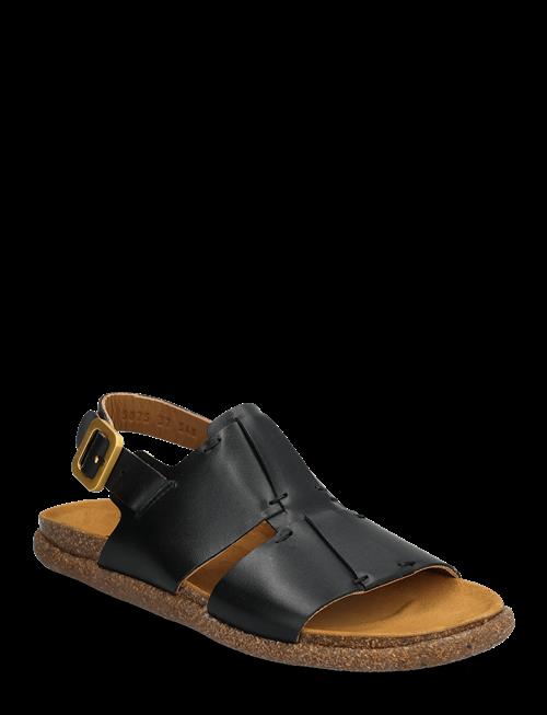 ANGULUS | Sandals - Flat  - Open Toe - Op | 40